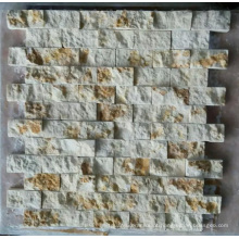 Mosaico de mármore mosaico de parede (HSM221)